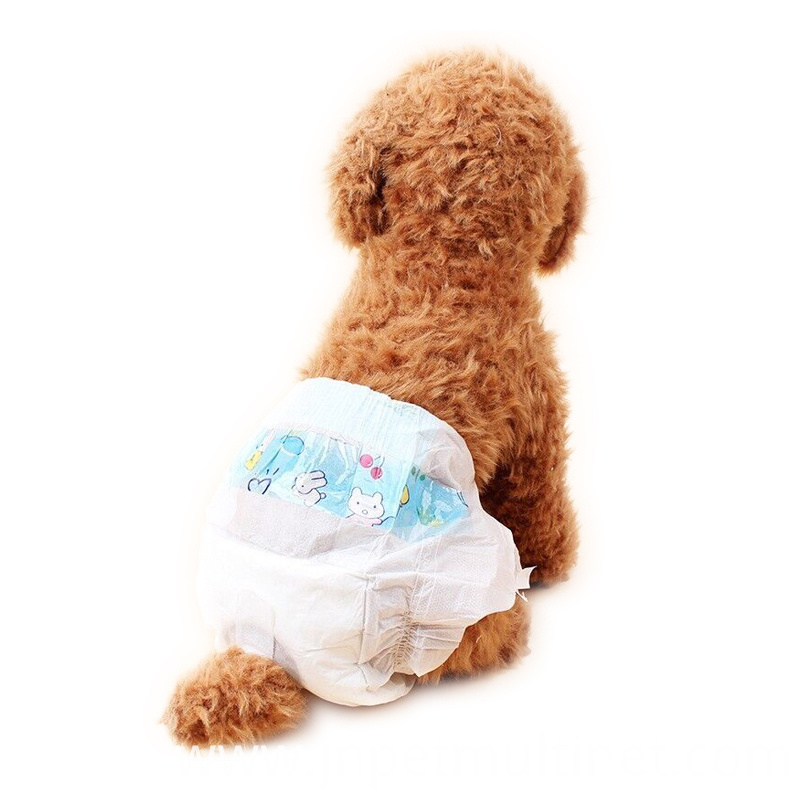10pcs-set-Dog-Diapers-Urine-Shorts-Pet-cat-dog-Super-Water-absorbing-type-Dry-health-pants 10pcs-set-Dog-Diapers-Urine-Shorts-Pet-cat-dog-Super-Water-absorbing-type-Dry-health-pants